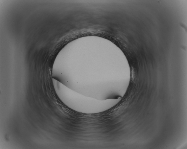X0000098101492200804251352