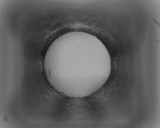 X0000098101493200804251352