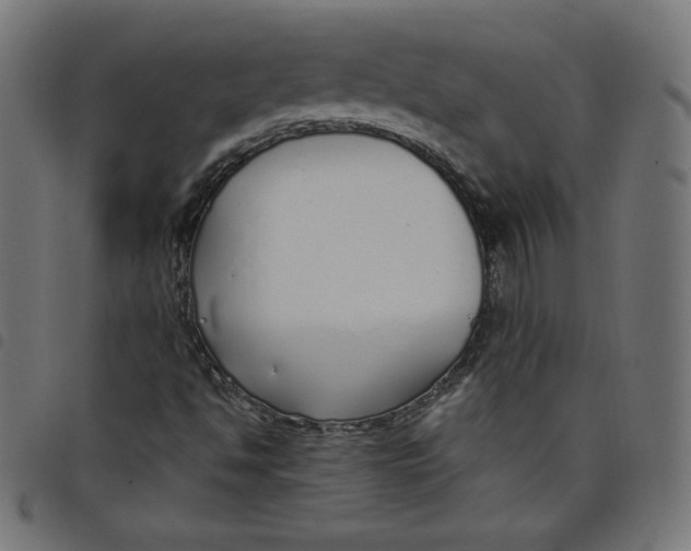 X0000098101494200804251352