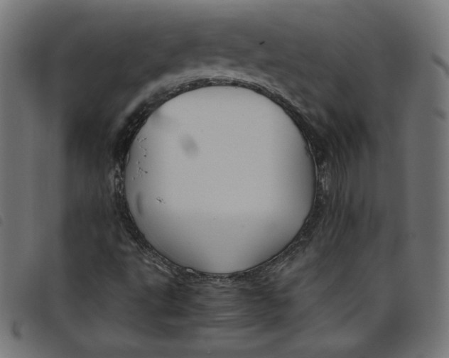 X0000098101495200804251352