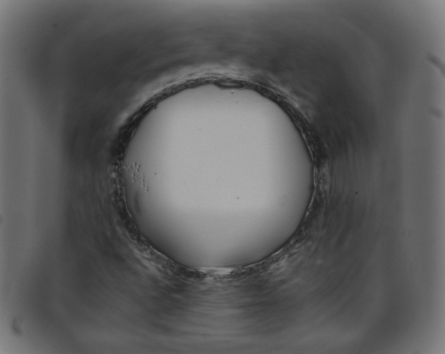 X0000098101496200804251352