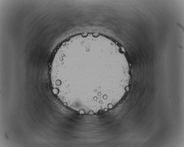 X0000098101498200804251352