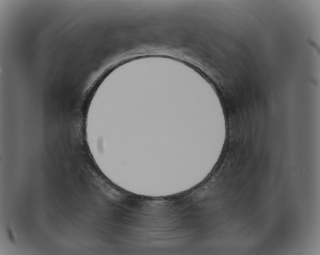 X0000098101502200804251352