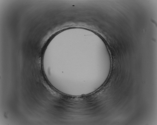 X0000098101503200804251352