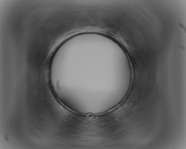 X0000098101504200804251352