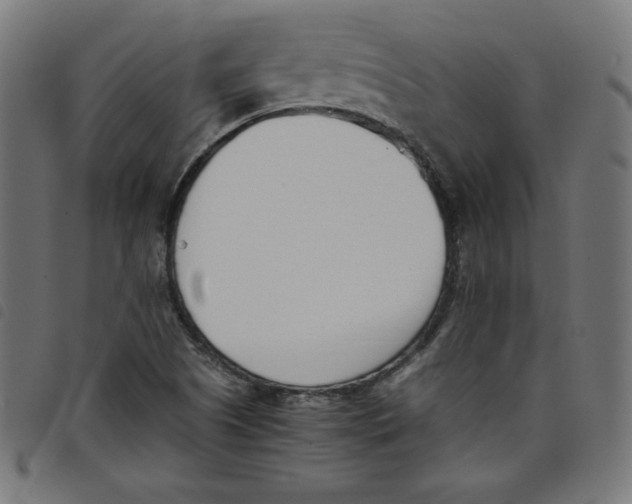 X0000098101505200804251352