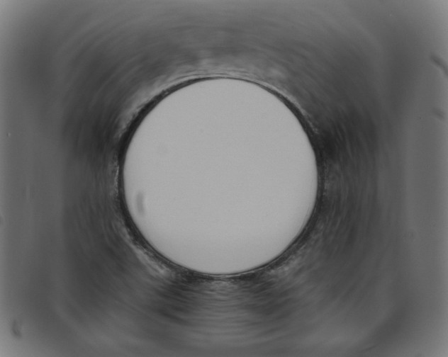 X0000098101507200804251352