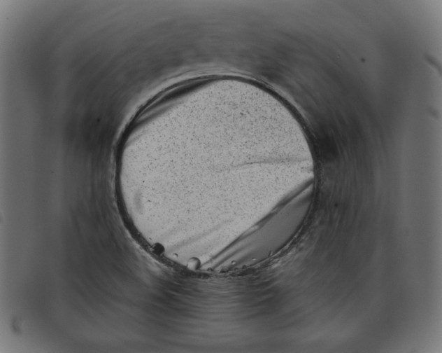 X0000098101508200804251352