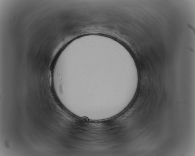 X0000098101509200804251352