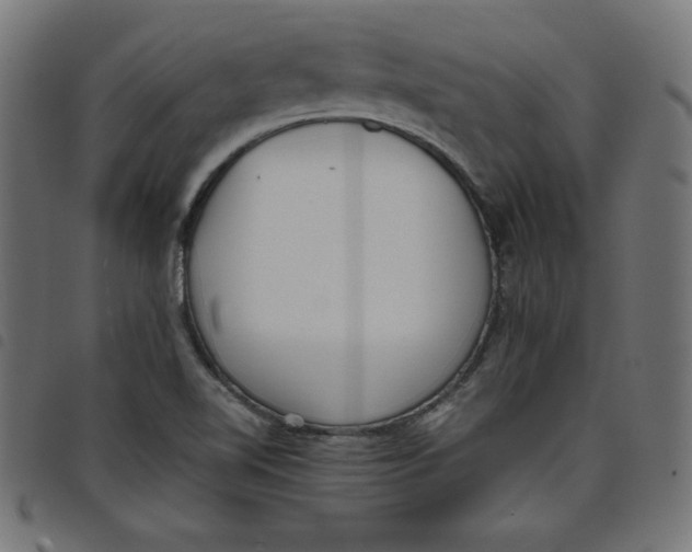 X0000098101510200804251352