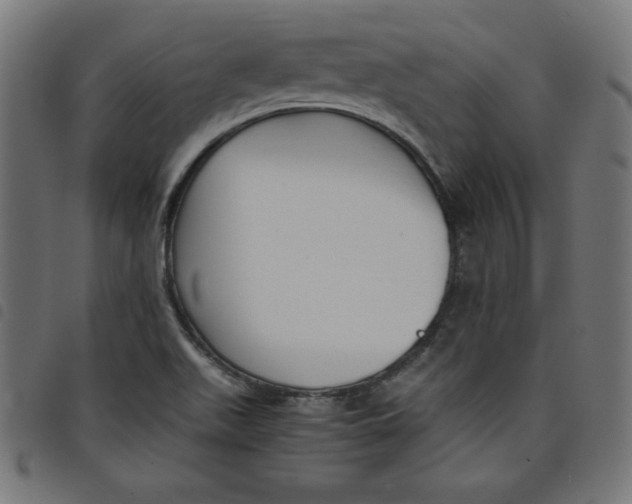X0000098101511200804251352
