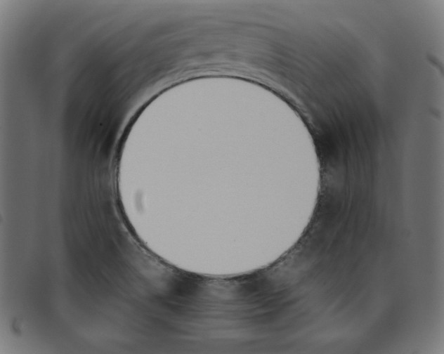 X0000098101514200804251352