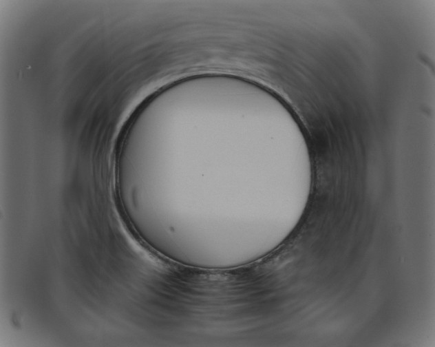 X0000098101515200804251352