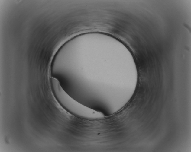X0000098101516200804251352