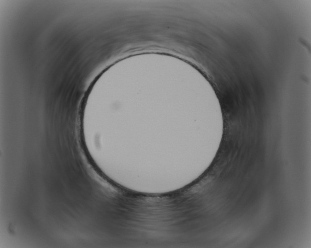 X0000098101518200804251352
