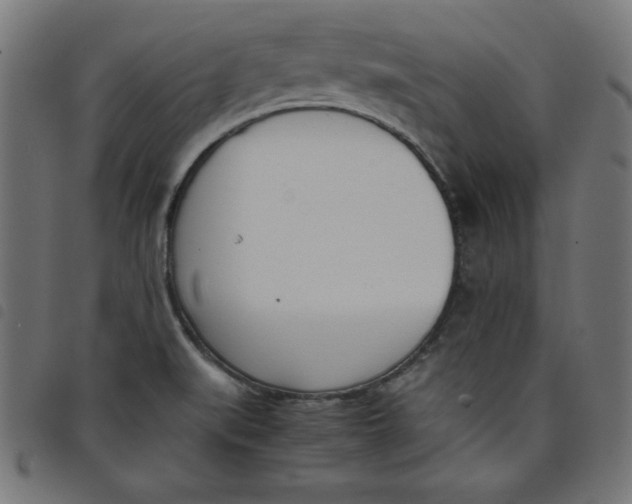 X0000098101519200804251352