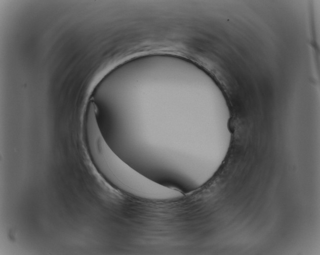 X0000098101520200804251352