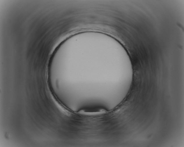 X0000098101523200804251353