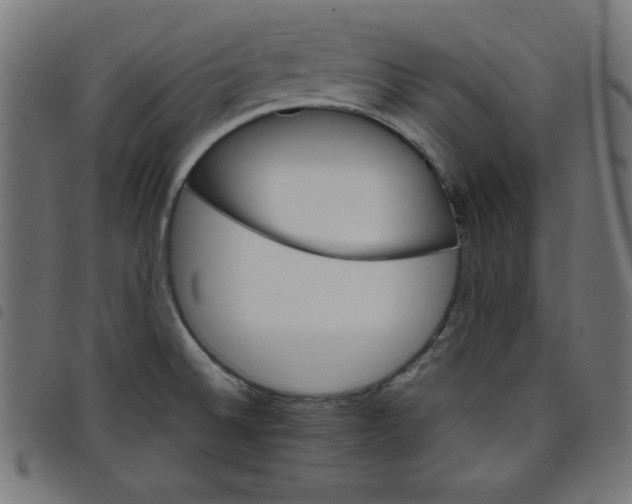 X0000098101524200804251353