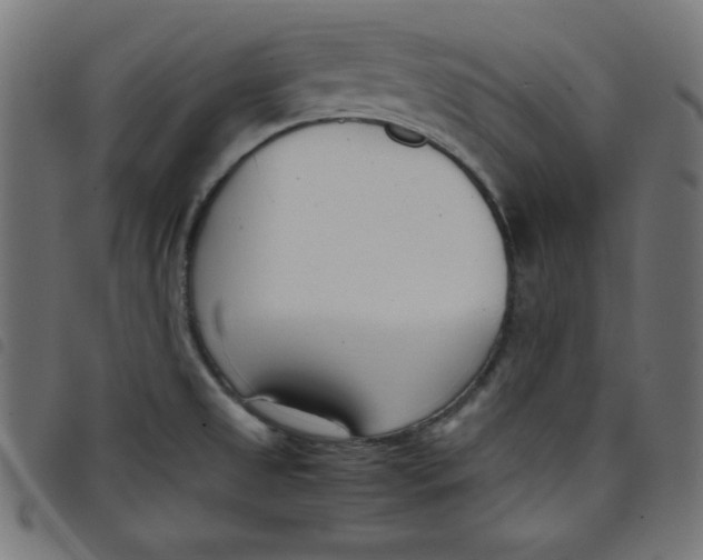 X0000098101525200804251353