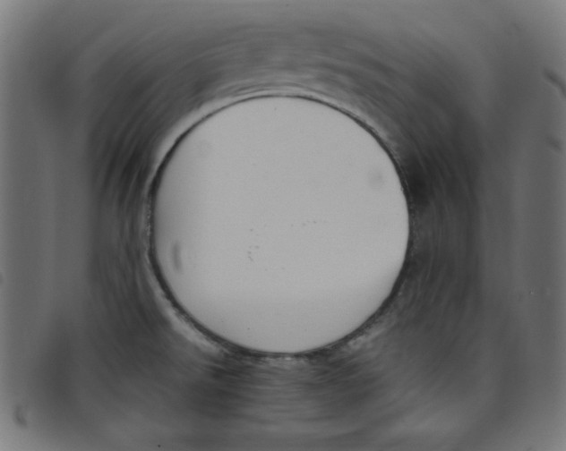 X0000098101526200804251353