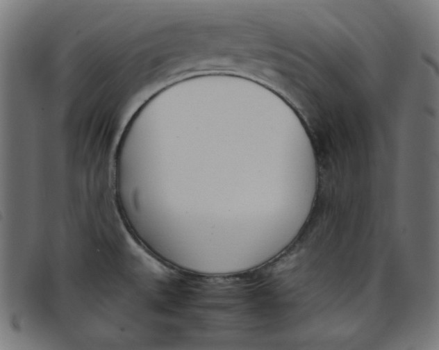 X0000098101527200804251353