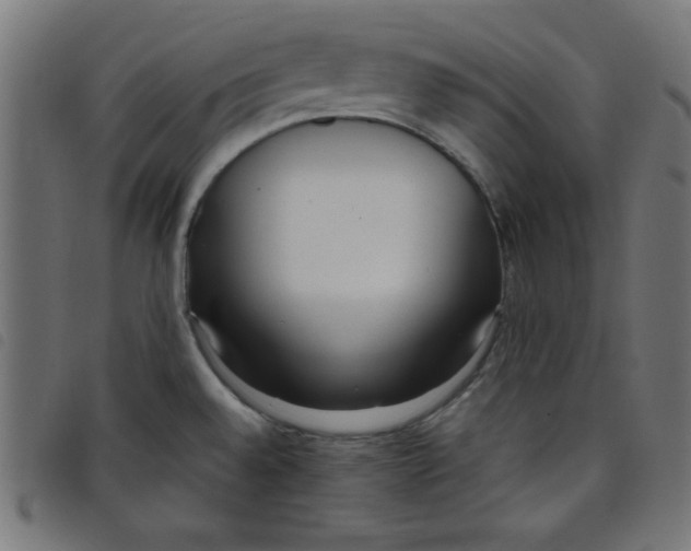 X0000098101528200804251353