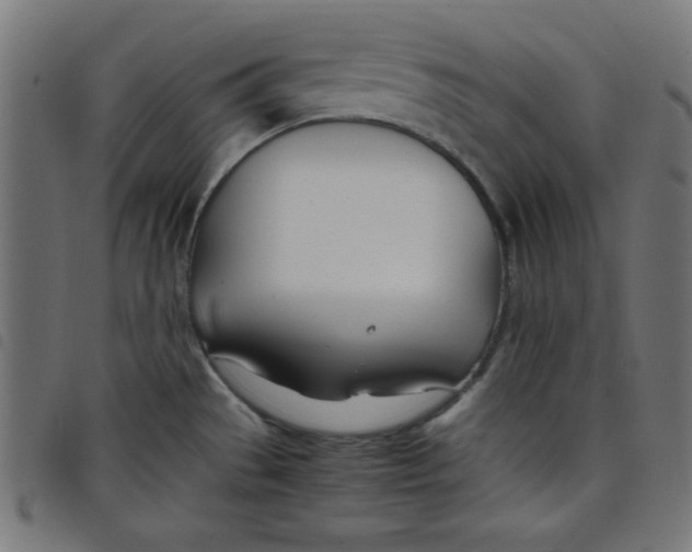X0000098101529200804251353