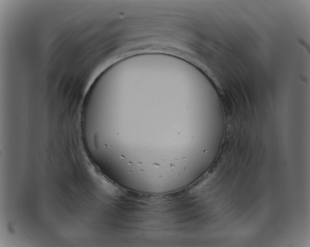 X0000098101530200804251353