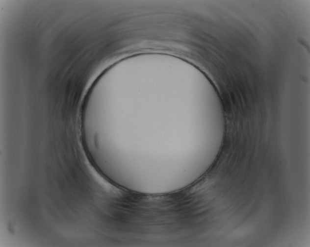 X0000098101531200804251353