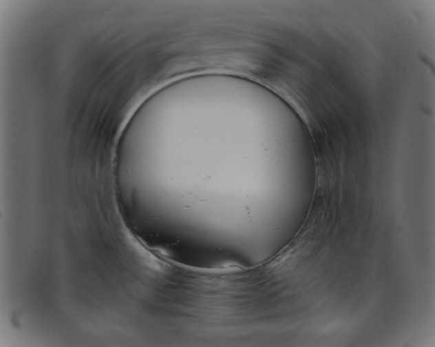 X0000098101532200804251353