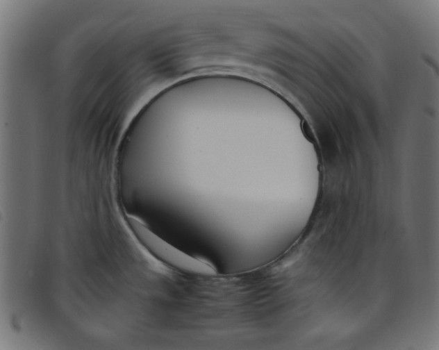 X0000098101533200804251353