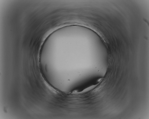 X0000098101535200804251353