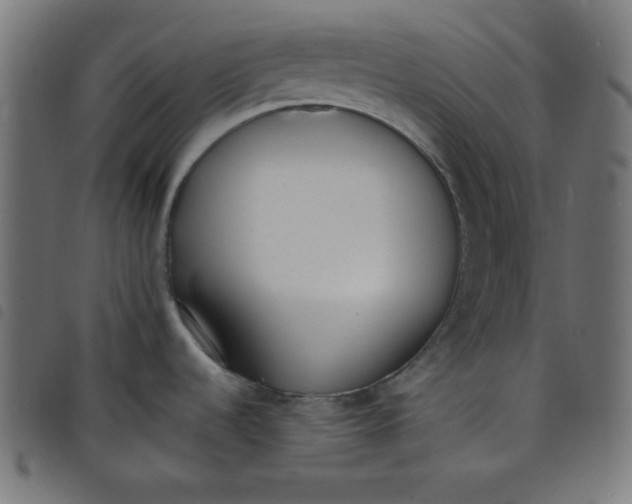 X0000098101536200804251353
