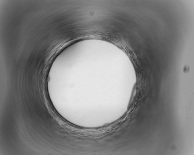 X0000098100001200805021120