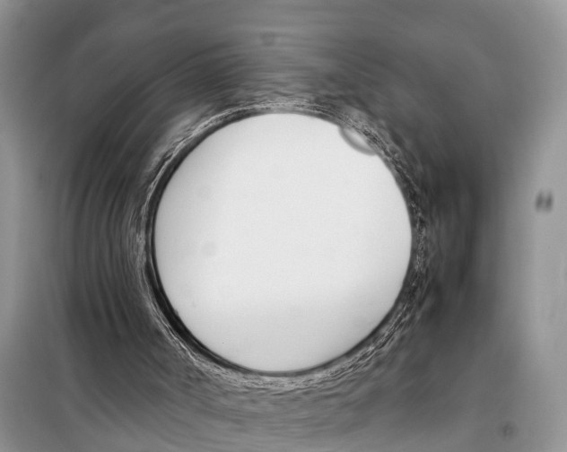 X0000098100002200805021120