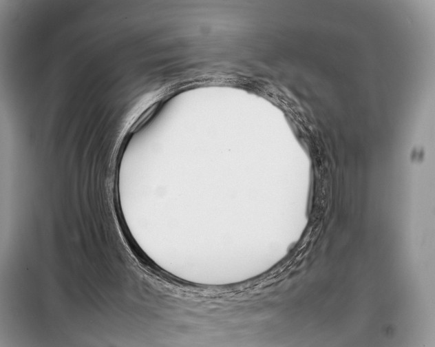 X0000098100003200805021120
