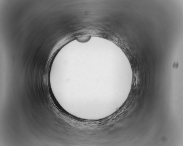 X0000098100004200805021120