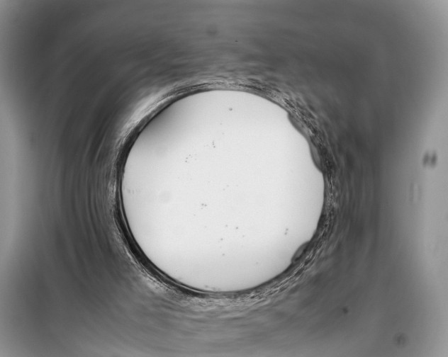 X0000098100005200805021120