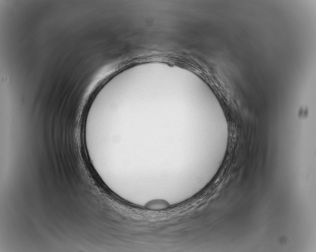 X0000098100006200805021120
