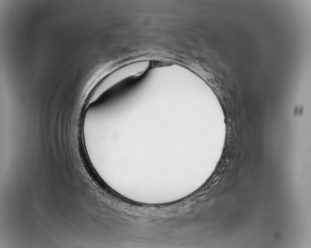 X0000098100007200805021120