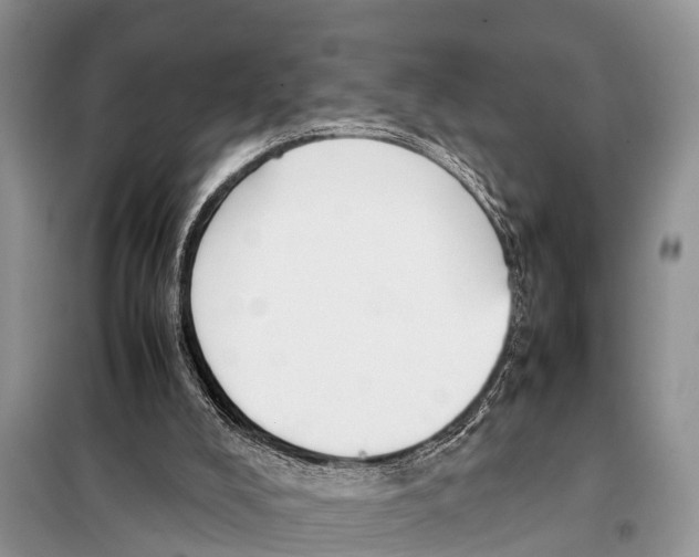 X0000098100008200805021120