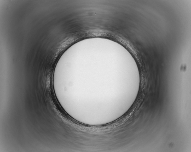X0000098100010200805021120
