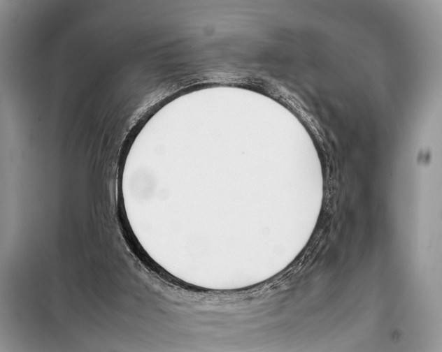 X0000098100011200805021120