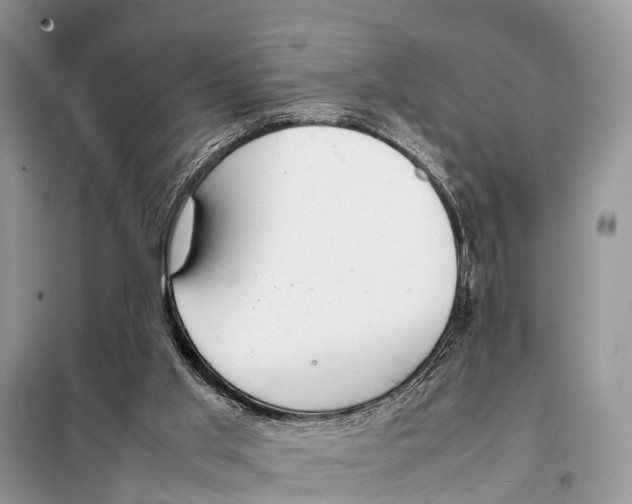 X0000098100013200805021120