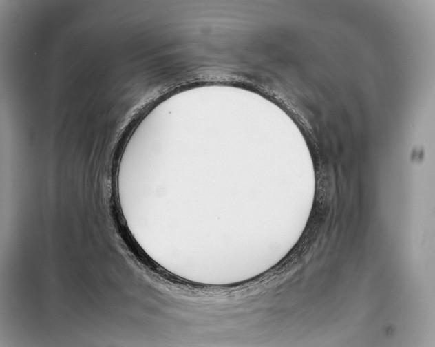 X0000098100015200805021120