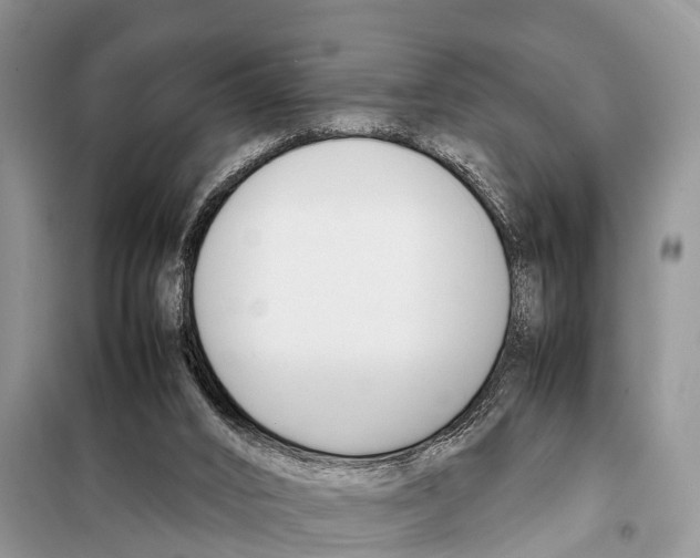 X0000098100016200805021120