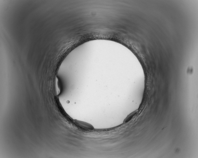 X0000098100017200805021120