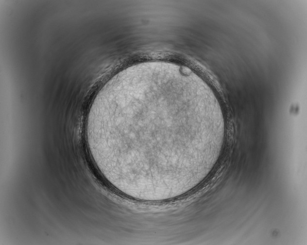 X0000098100018200805021120