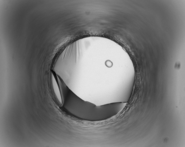X0000098100019200805021120
